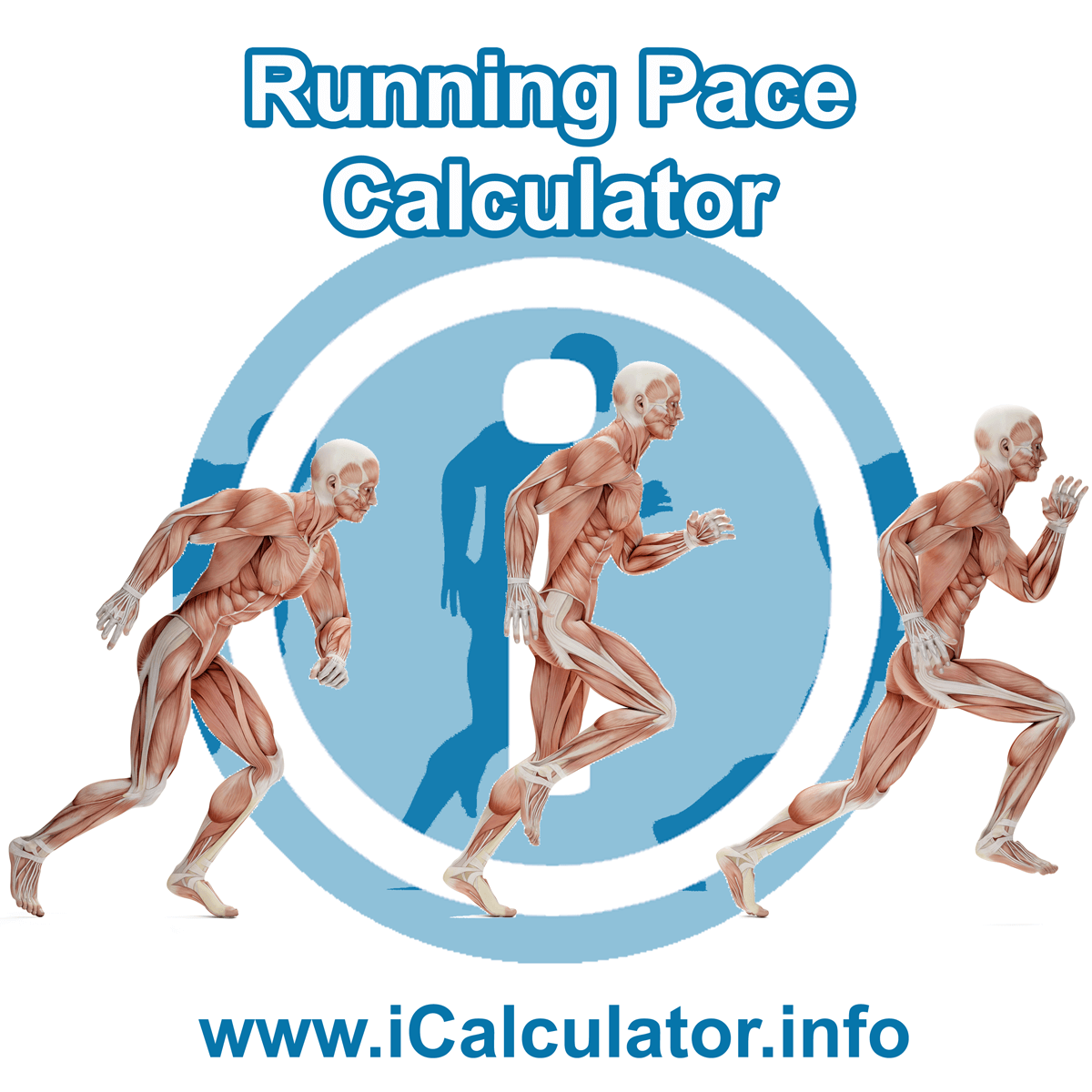 Use the Pace Calculator to create and manage a healthy running plan