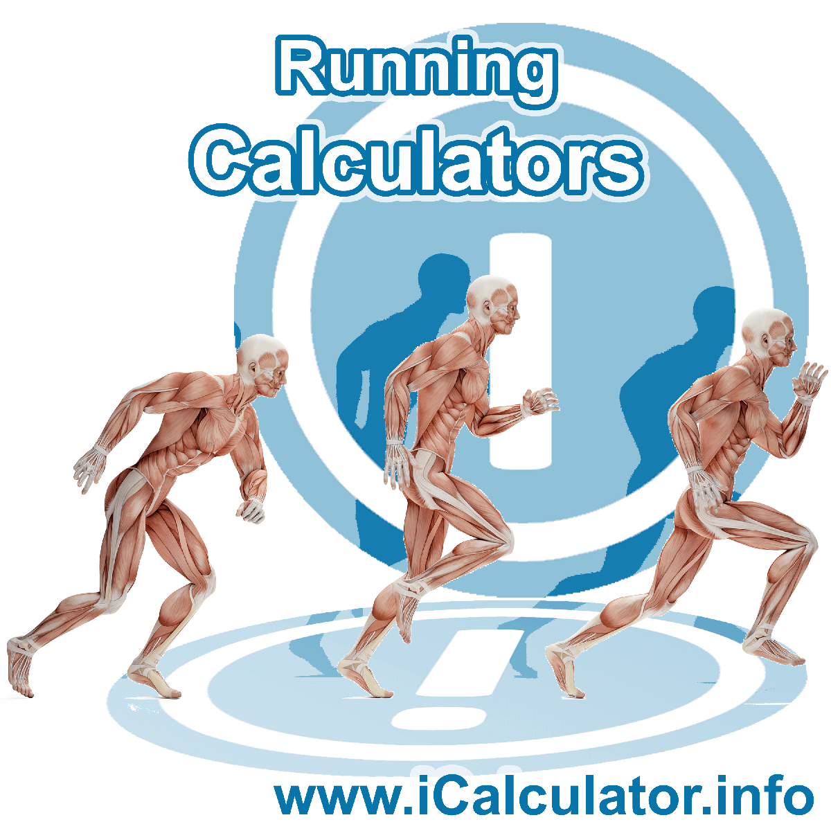 Running Calculator. This image shows an Running player playing running - by iCalculator