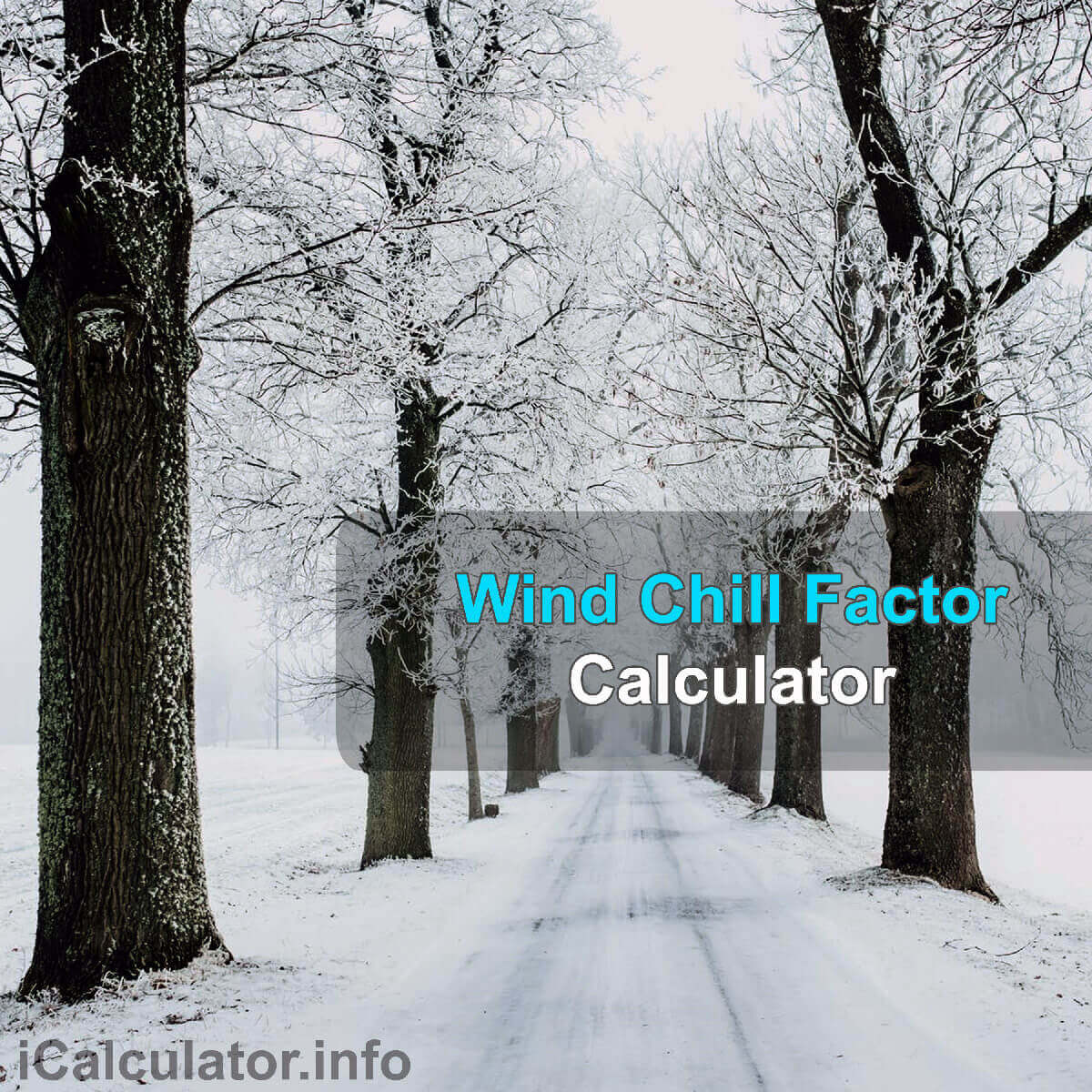 Wind Chill Factor Calculator. This image shows a cold and frosty winters day, a freezing day when the wind chill factor can significantly increase the risk of frostbite. The Wind Chill Factor calculator allows you to calculate the wind shill factor and reduce the risk of frostbite.